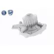 ACKOJA A51-0700 - Pompe à eau