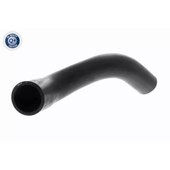 ACKOJA A51-1606 - Durite de radiateur