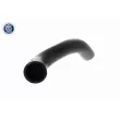 ACKOJA A51-1606 - Durite de radiateur