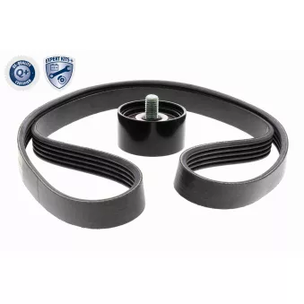 Jeu de courroies trapézoïdales à nervures ACKOJA OEM 2521203200