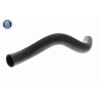 Durite de radiateur ACKOJA A52-1608