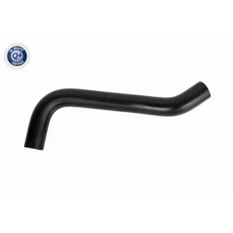 Durite de radiateur ACKOJA A52-1613