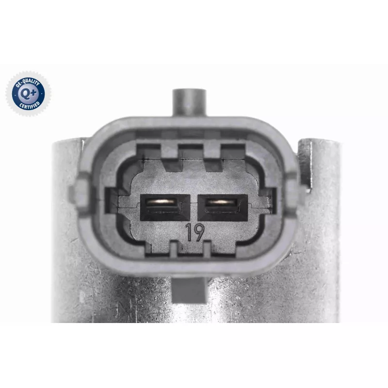 Pompe à haute pression ACKOJA A52-25-0006 - Visuel 1