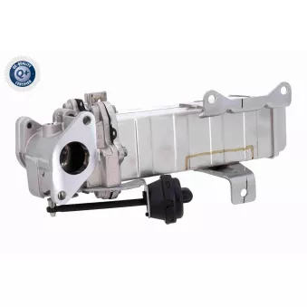 Radiateur, réaspiration des gaz d'échappement ACKOJA A52-63-0003