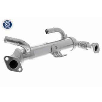 ACKOJA A52-63-0017 - Radiateur, réaspiration des gaz d'échappement