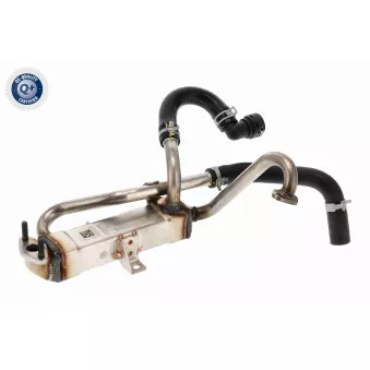 ACKOJA A52-63-0040 - Radiateur, réaspiration des gaz d'échappement