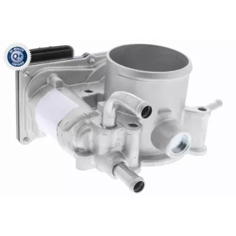 Corps papillon ACKOJA A52-81-0003