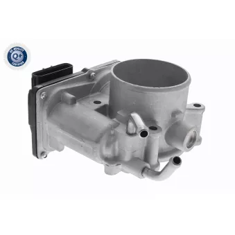 Corps papillon ACKOJA A52-81-0012