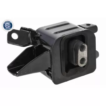 Suspension, boîte automatique ACKOJA A52-9624