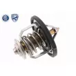 ACKOJA A52-99-0004 - Thermostat d'eau