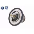 ACKOJA A52-99-0004 - Thermostat d'eau
