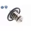 ACKOJA A52-99-0004 - Thermostat d'eau
