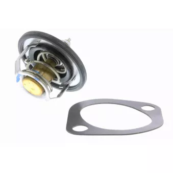 Thermostat d'eau ACKOJA OEM 255002A050