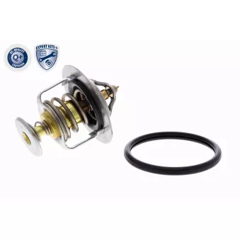 Thermostat d'eau ACKOJA A52-99-0015