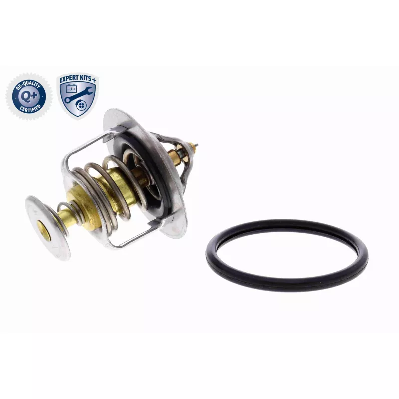 Thermostat d'eau ACKOJA A52-99-0015 - Visuel 1