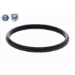 ACKOJA A52-99-0015 - Thermostat d'eau