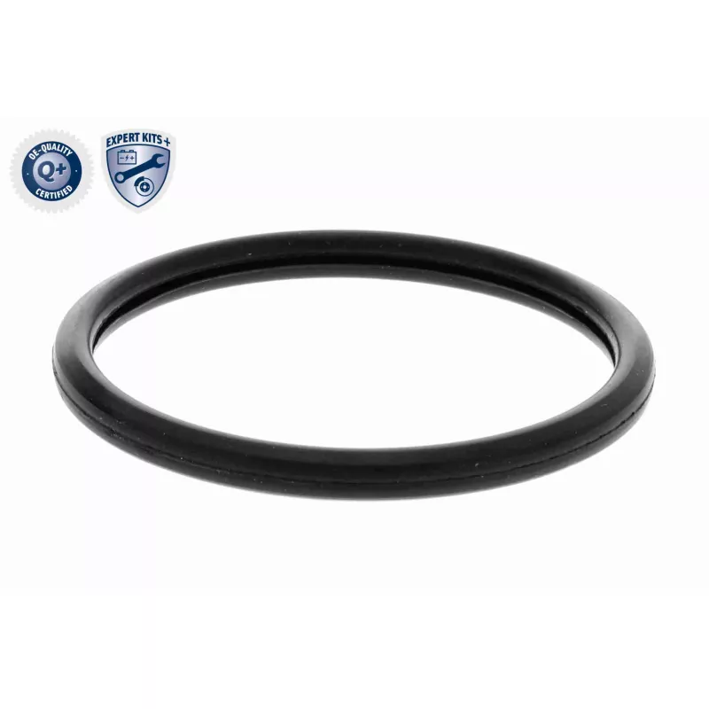 Thermostat d'eau ACKOJA A52-99-0015 - Visuel 2