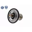 ACKOJA A52-99-0015 - Thermostat d'eau