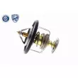 ACKOJA A52-99-0015 - Thermostat d'eau