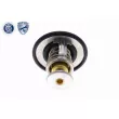 ACKOJA A52-99-0015 - Thermostat d'eau