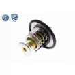 ACKOJA A52-99-0015 - Thermostat d'eau