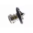ACKOJA A52-99-0016 - Thermostat d'eau