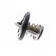 ACKOJA A52-99-0016 - Thermostat d'eau