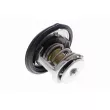 ACKOJA A52-99-0016 - Thermostat d'eau