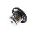 ACKOJA A52-99-0016 - Thermostat d'eau
