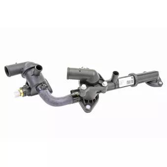 Thermostat d'eau ACKOJA OEM 2562002511