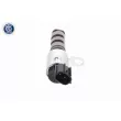 ACKOJA A53-0120 - Valve de commande, réglage d'arbres à came