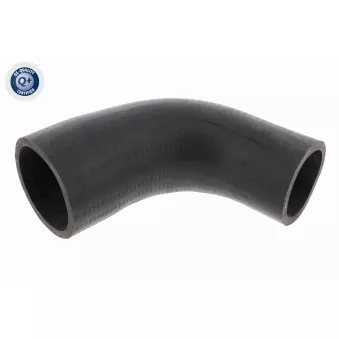 Gaine de suralimentation ACKOJA A53-0139