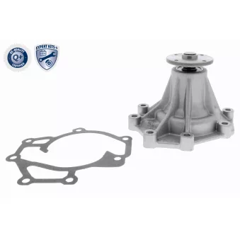 Pompe à eau ACKOJA OEM 251004A300