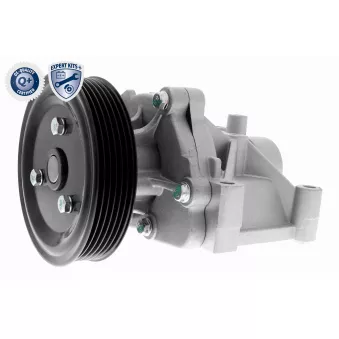 Pompe à eau ACKOJA OEM 251002g510