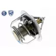 ACKOJA A53-99-0001 - Thermostat d'eau