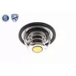 ACKOJA A53-99-0002 - Thermostat d'eau