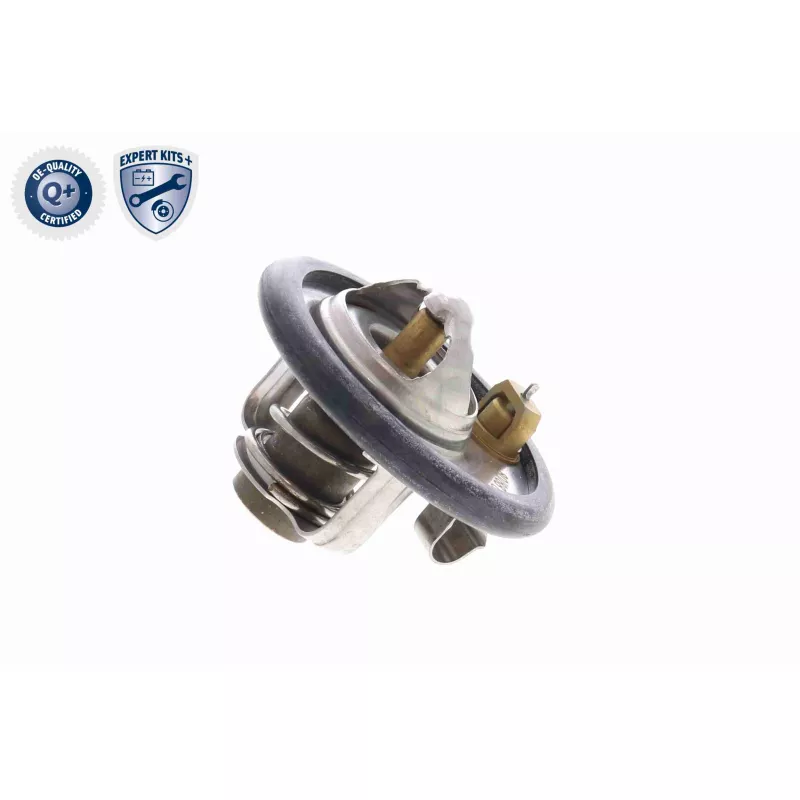 Thermostat d'eau ACKOJA A53-99-0008 - Visuel 2