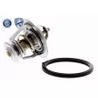 ACKOJA A53-99-0011 - Thermostat d'eau