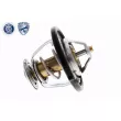 ACKOJA A53-99-0011 - Thermostat d'eau
