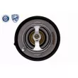 ACKOJA A53-99-0011 - Thermostat d'eau