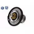 ACKOJA A53-99-0011 - Thermostat d'eau