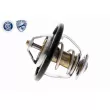 ACKOJA A53-99-0011 - Thermostat d'eau