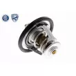 ACKOJA A53-99-0011 - Thermostat d'eau