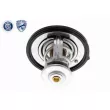 ACKOJA A53-99-0011 - Thermostat d'eau