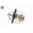 ACKOJA A55-99-0001 - Thermostat d'eau