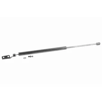 Vérin de hayon, de coffre ACKOJA A63-0016