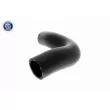 ACKOJA A63-1601 - Durite de radiateur