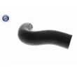 ACKOJA A63-1601 - Durite de radiateur