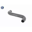 ACKOJA A63-1602 - Durite de radiateur