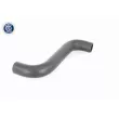 ACKOJA A63-1602 - Durite de radiateur